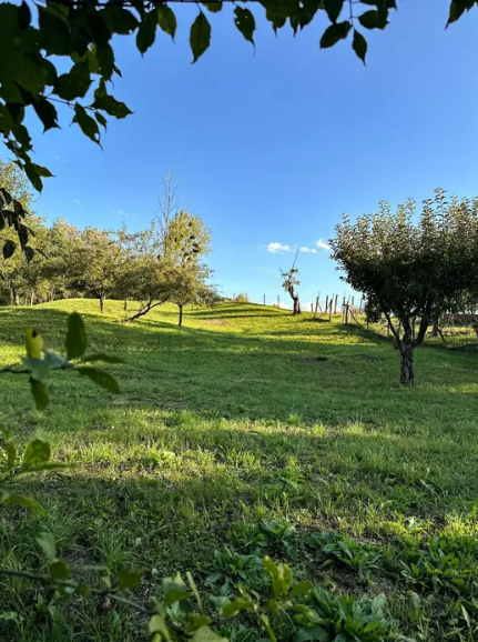 Teren intravilan – sat Calbor, jud. Brașov